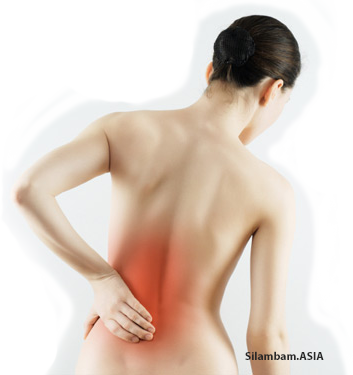 Back Pain Back Pain