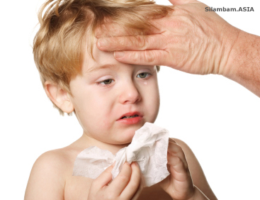 Common Cold 1 Common Cold 1