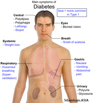 diabetes 01 diabetes 01